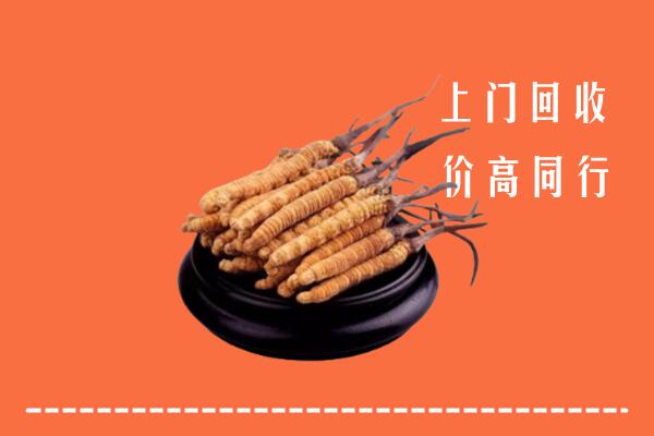 高价求购：石棉县回收散虫草