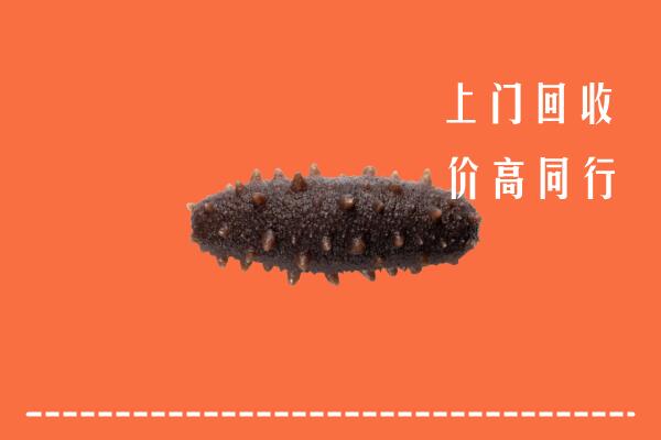 高价求购：石棉县回收海参
