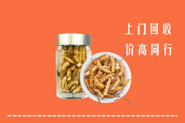 石棉县回收冬虫夏草